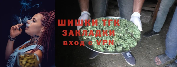 винт Абаза