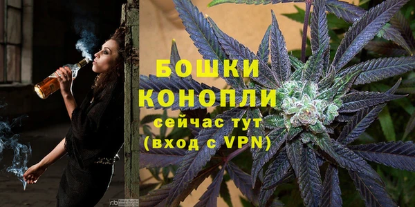 винт Абаза