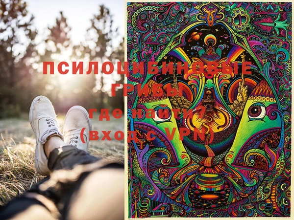 винт Абаза