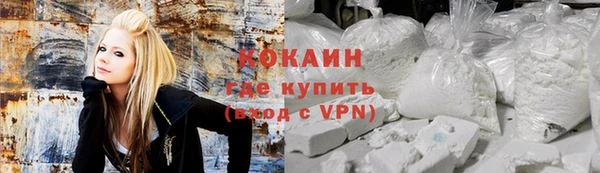 винт Абаза