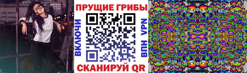 Псилоцибиновые грибы мицелий Чекалин